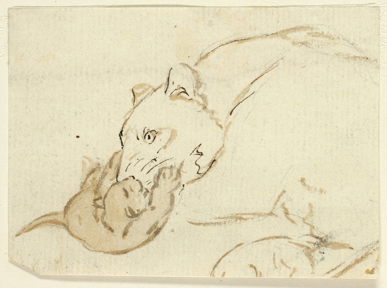 Viisi luonnosta leijonista: Lioness with Cub tekijältä Henry Stacy Marks