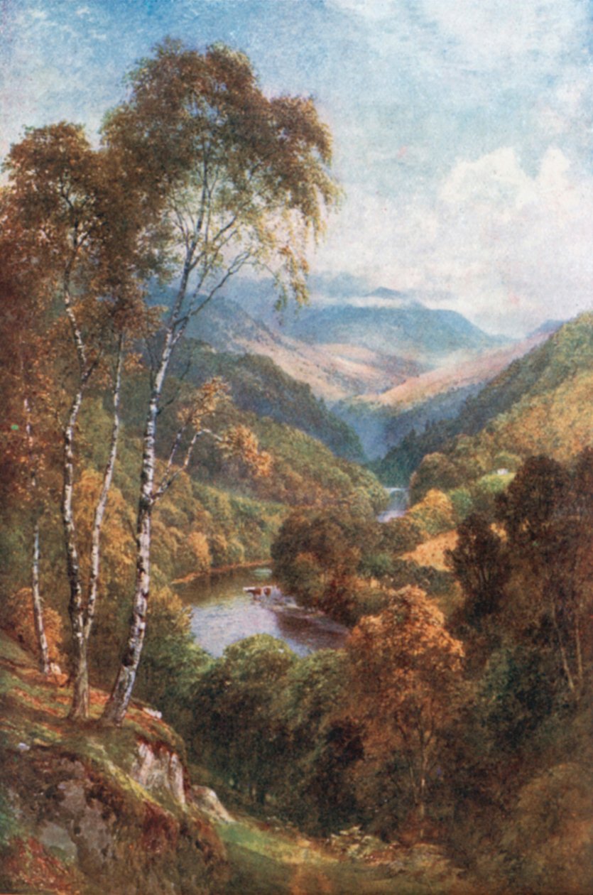 Katse ylös Killiecrankien solaan, Perthshire (värilitro). tekijältä Henry Sutton Palmer