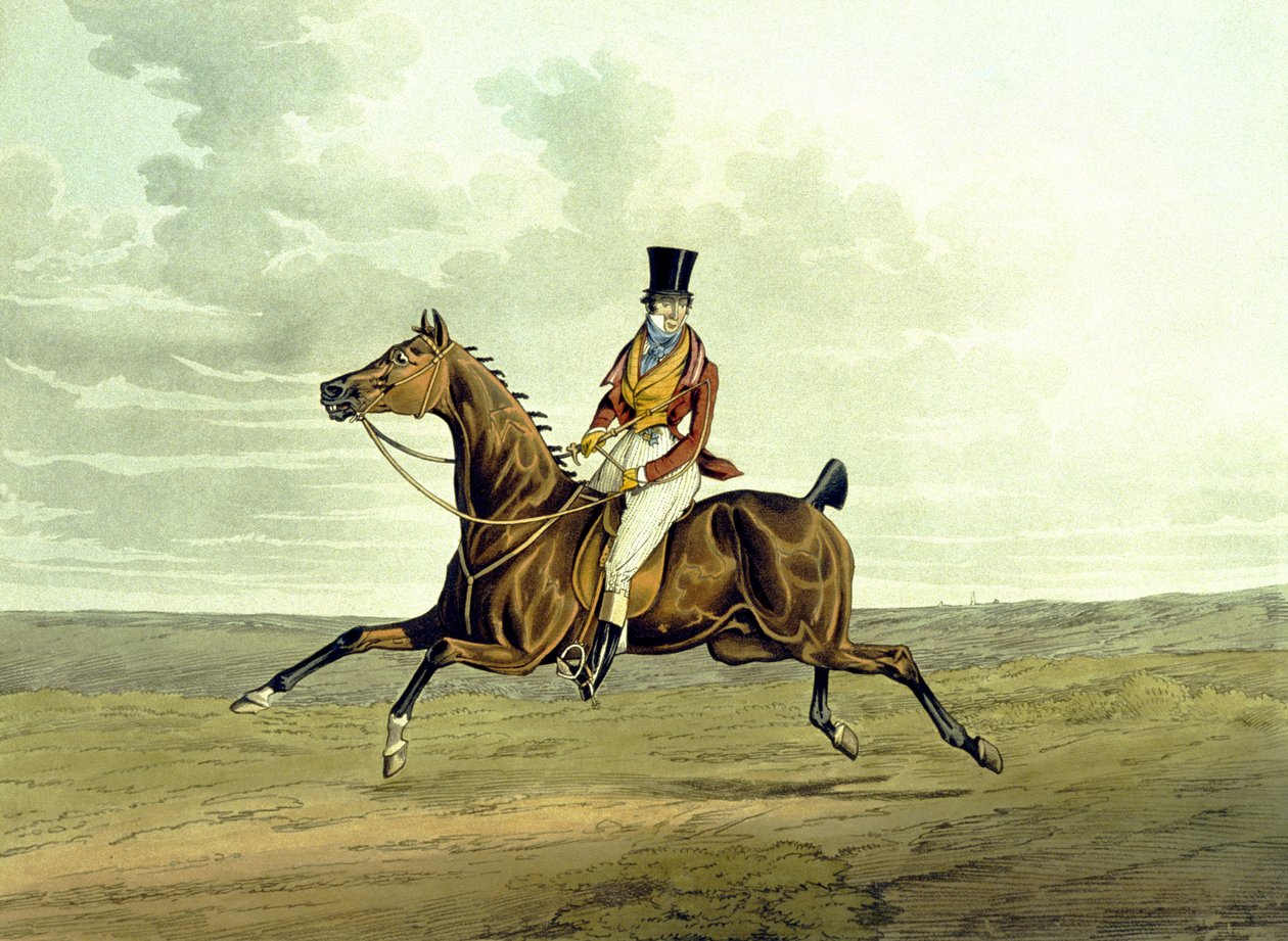 Meltonilainen sellaisenaan tekijältä Henry Thomas (after) Alken