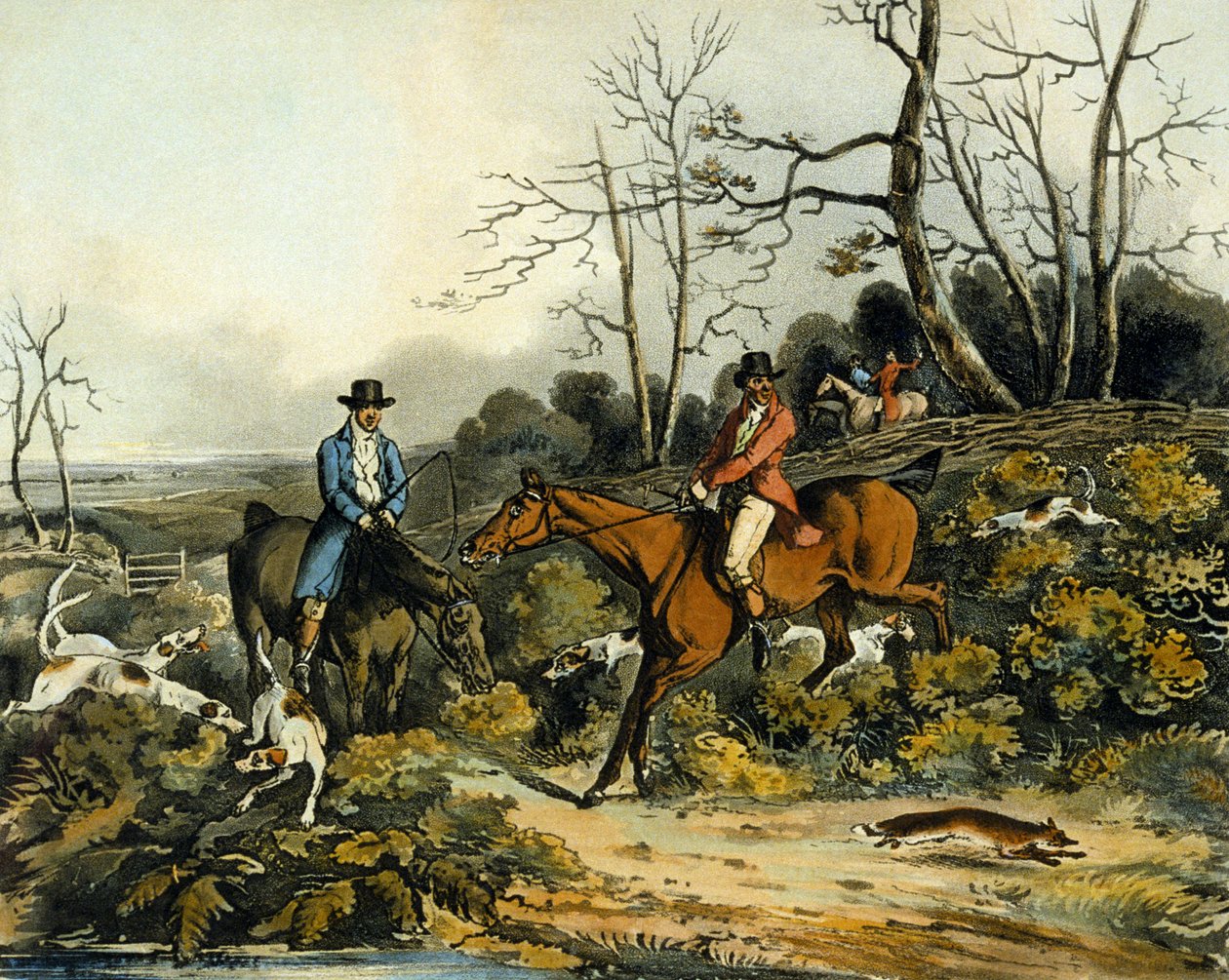 Breaking Cover, teoksesta "Fox Hunting", kaiverrus Thomas Sutherland (1785-1838) 1817 (väri litho) tekijältä Henry Thomas (after) Alken