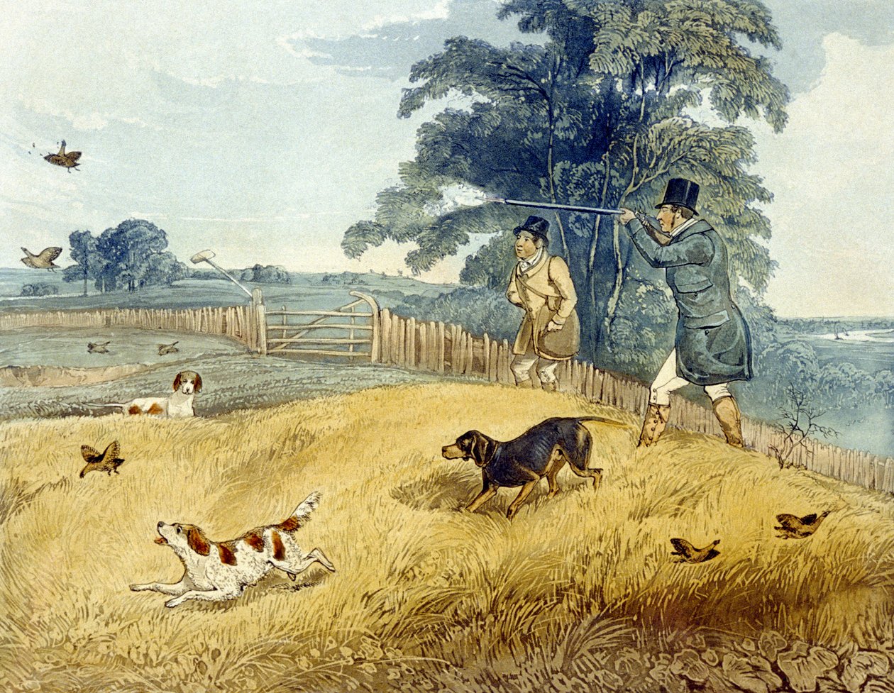 Flushing Birds, levy Partridge Shootingista, kaiverrus Joseph Clayton Bentley (1809-51) 1835 (värikaiverrus) tekijältä Henry Thomas (after) Alken