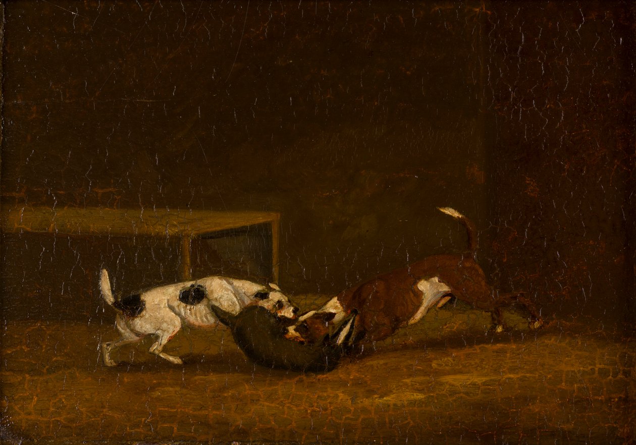 Two Terriers Badger Baiting, c.1805-51 (öljy paneelissa) tekijältä Henry Thomas (follower of) Alken