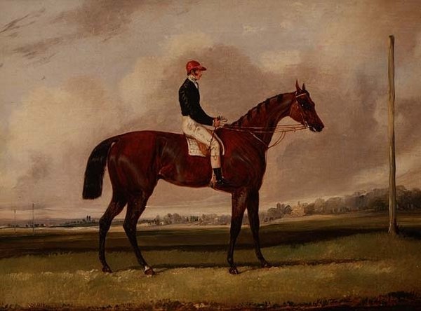 Bay Racehorse jockeyn kanssa kilparadalla tekijältä Henry Thomas Alken