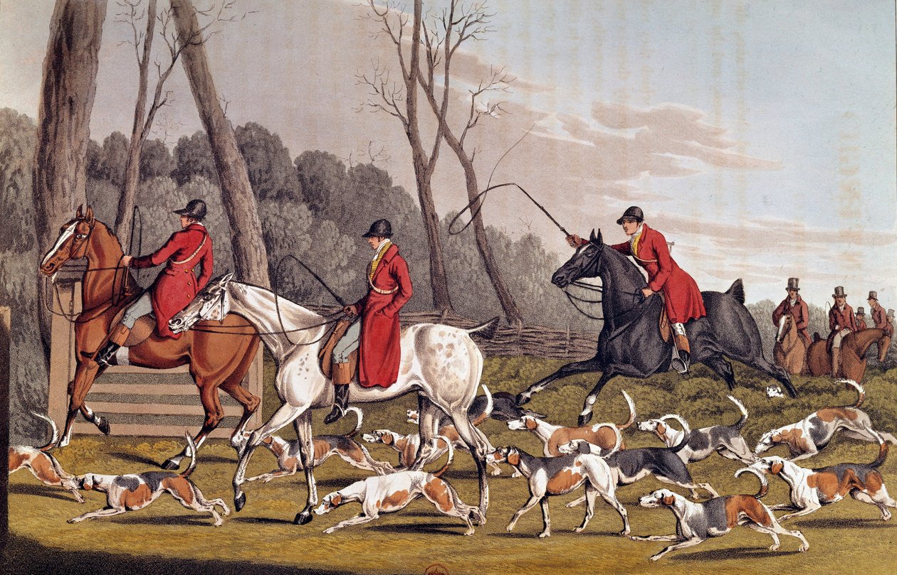 Metsästys: "" Ketun metsästys"" Henri Alkenin (1774-1850) englanninkielinen litografia 1800-luvun Pariisi, B.N. tekijältä Henry Thomas Alken