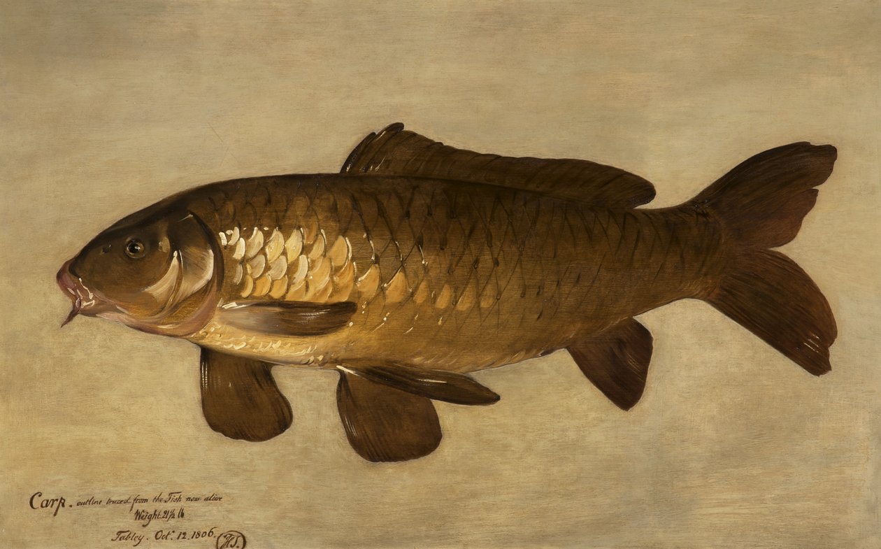 Karppi, 1806 tekijältä Henry Thomson
