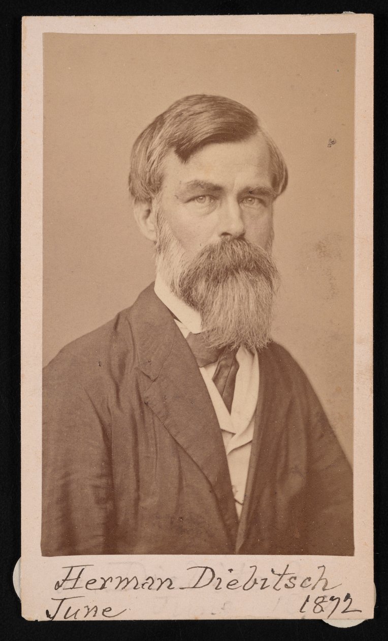 Herman Henry Diebitschin muotokuva 1818-1883, 1871. tekijältä Henry Ulke