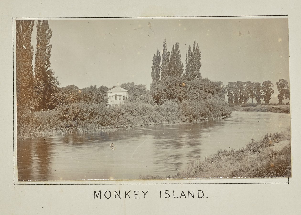 Monkey Island tekijältä Henry W. Taunt