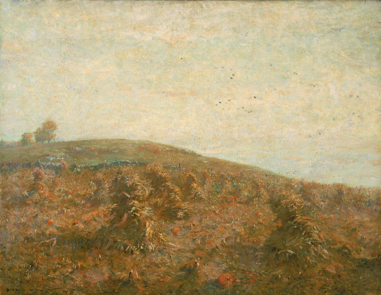 Maissipelto. tekijältä Henry Ward Ranger