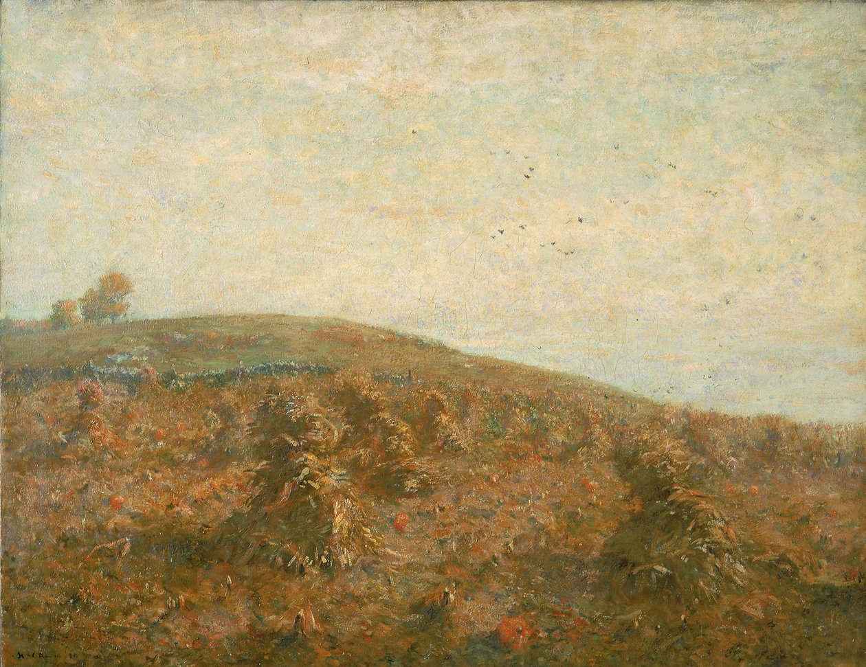 Maissipelto tekijältä Henry Ward Ranger
