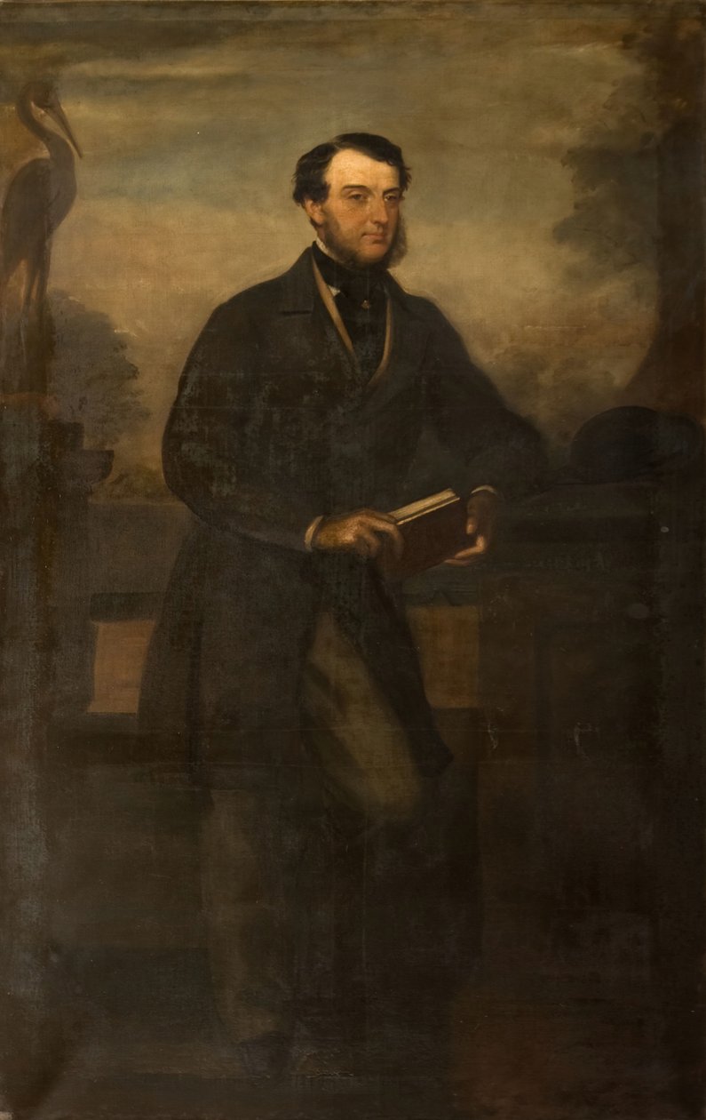 Retrat de Charles B Adderley 1r Lord Norton, 1865. finlandès tekijältä Henry Weigall