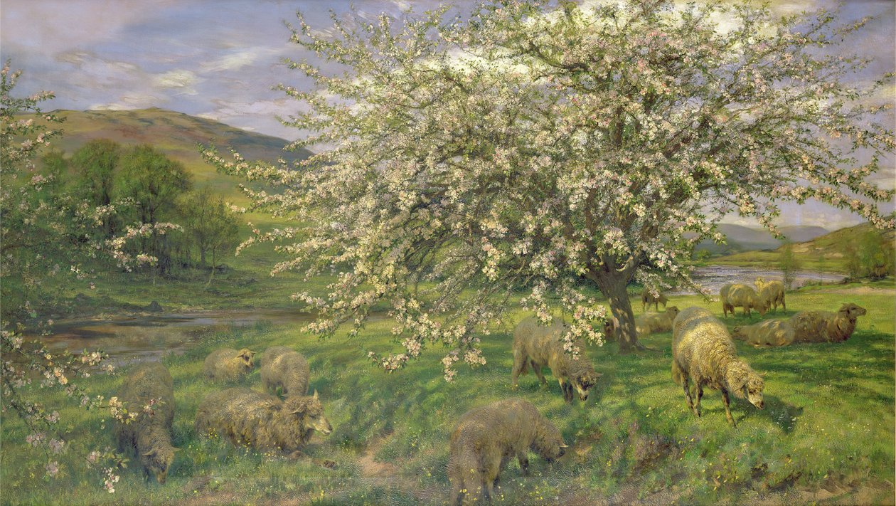 Tuntematon kuva tekijältä Henry William Banks Davis
