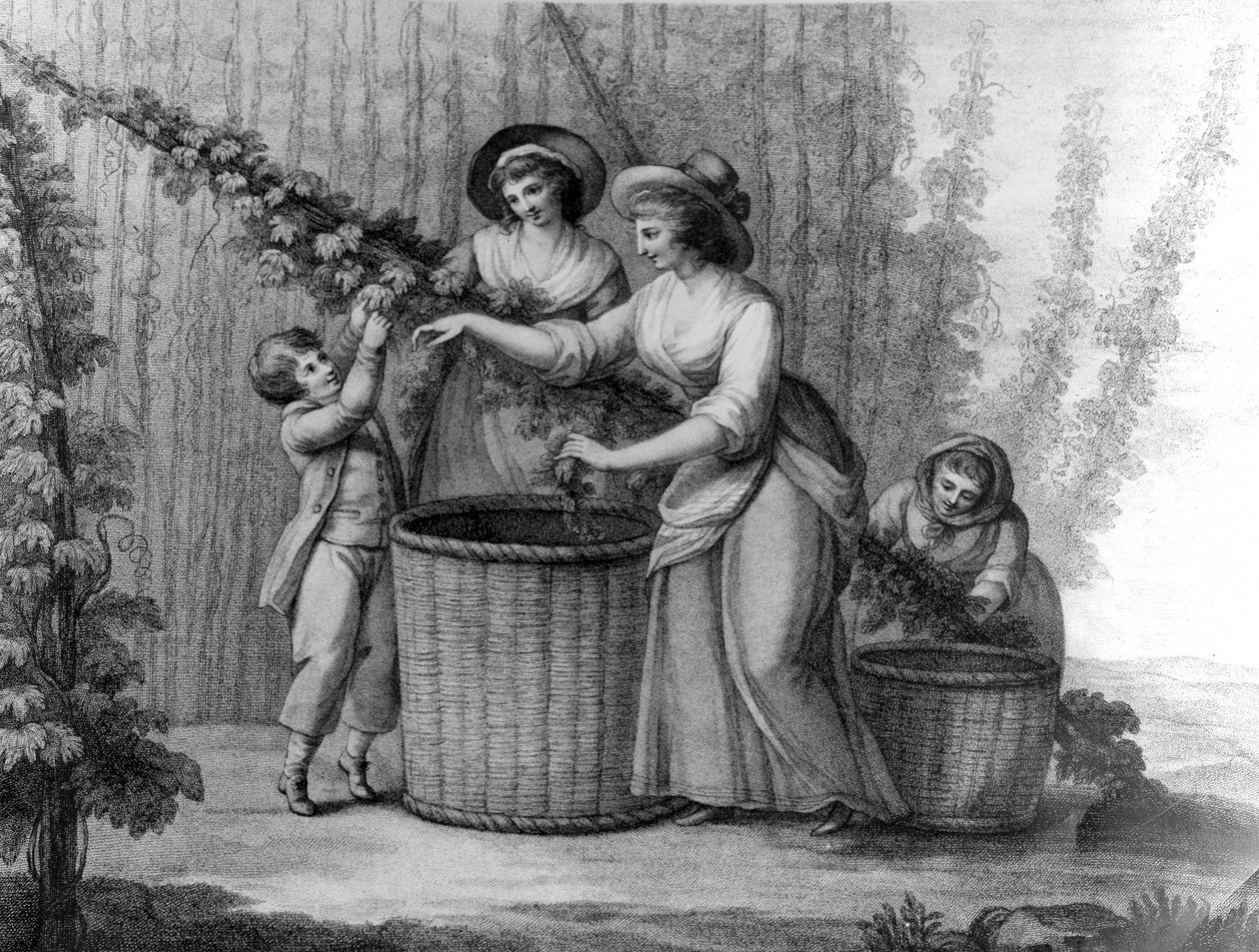 Hop Pickers, kaiverrus William Dickinson, 1803 tekijältä Henry William Bunbury