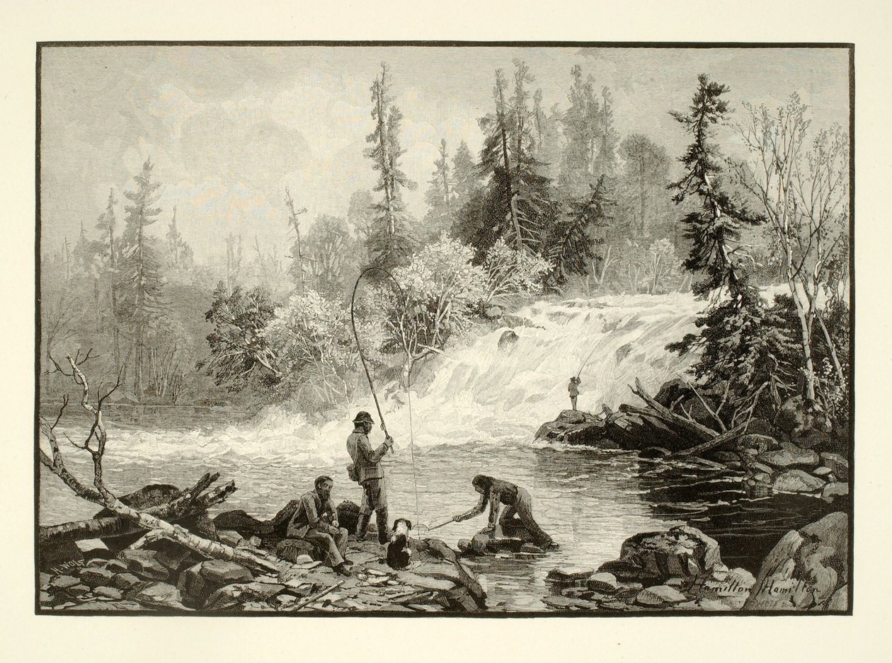 Taimenallas Nepignonissa tekijältä Henry Wolf