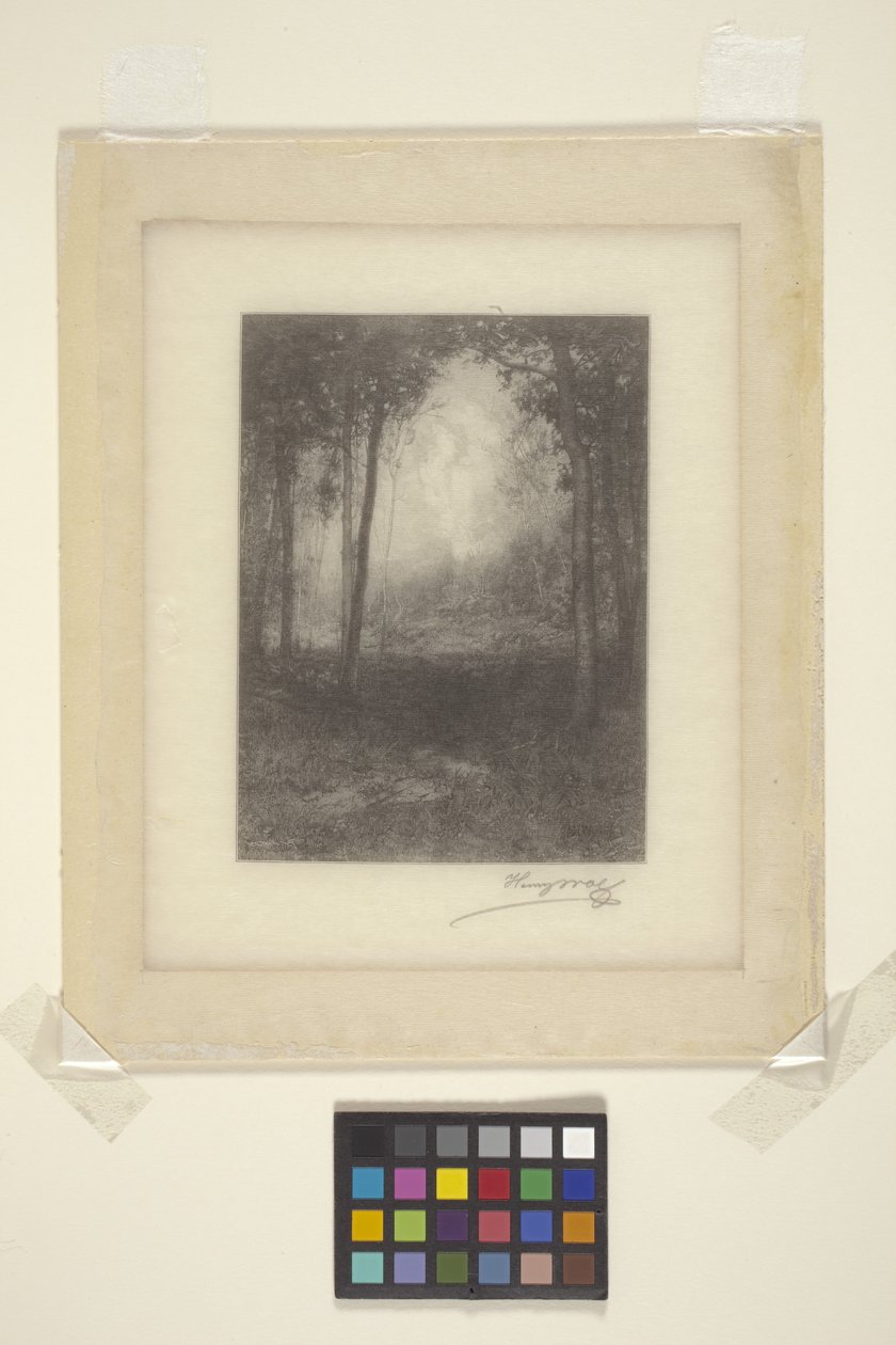 In The Adirondacks (muste) tekijältä Henry Wolf