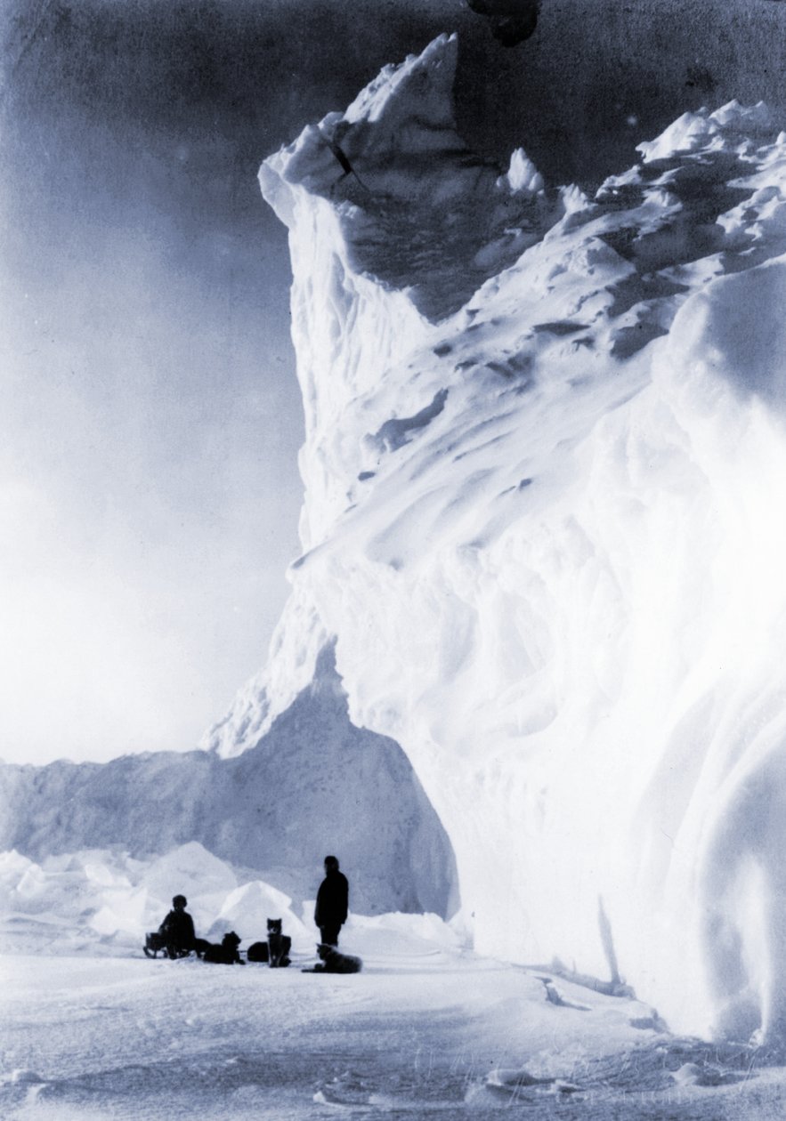 Koiraryhmä lepää Terra Nova -retkikunnan aikana, 1910 tekijältä Herbert Ponting