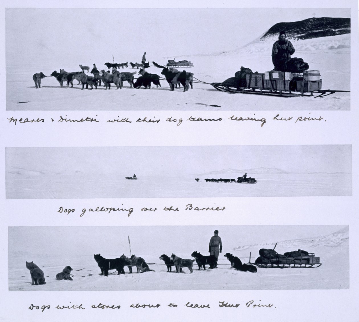 Kolme näkymää Mearesin ja Dimetrin johtamista koiraryhmistä "Terra Nova" -matkalla (1910-13) etelänavalle kapteeni Scottin johtamassa tekijältä Herbert Ponting
