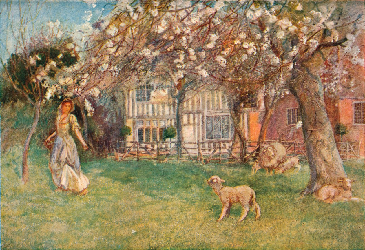 "Lambs", c1904 tekijältä Herbert Alexander Collins