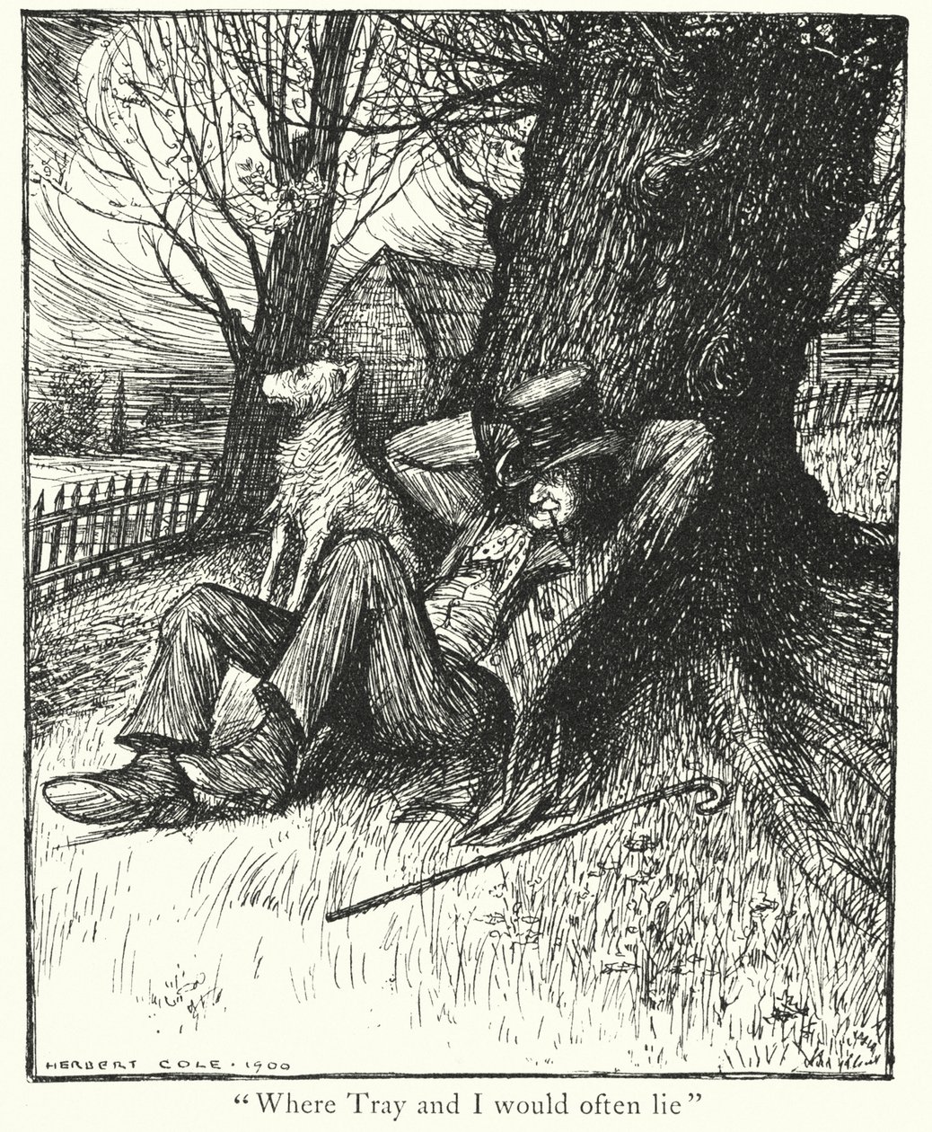  tekijältä Herbert Cole