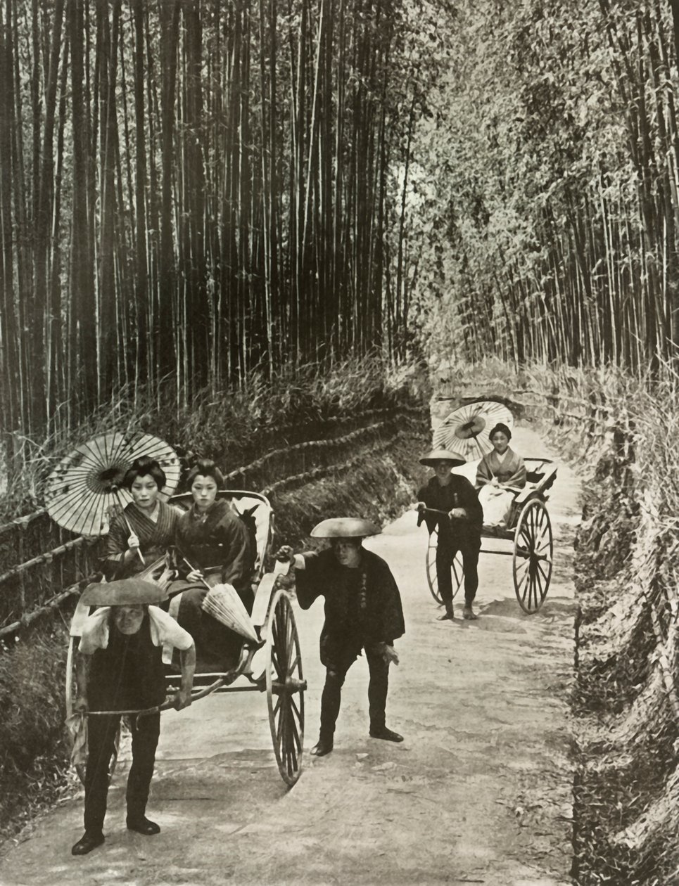 Bamboo Avenue Kiotossa, 1910. tekijältä Herbert Ponting