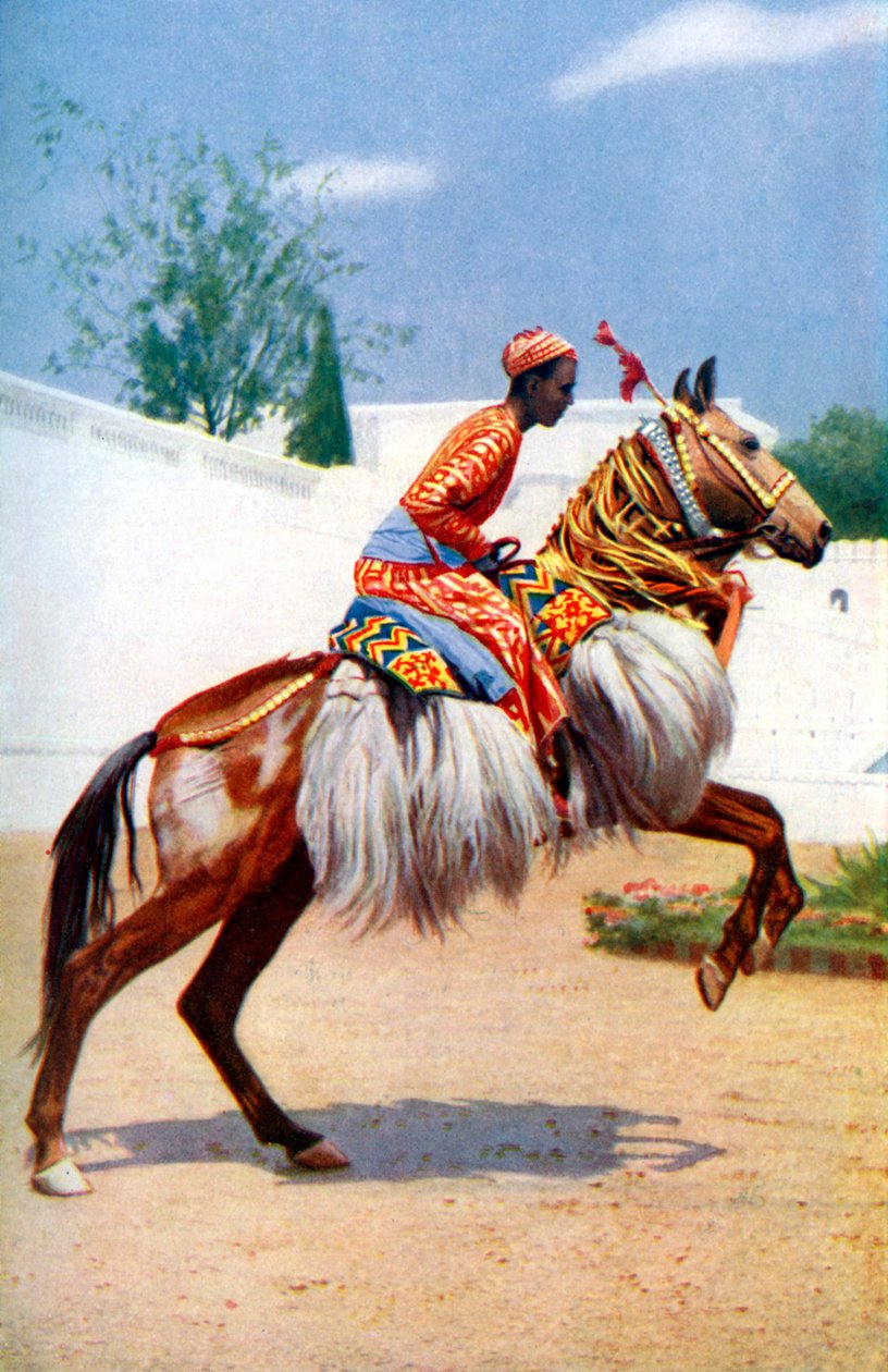 Arabilainen tanssihevonen, Udaipur, Intia, 1922. tekijältä Herbert Ponting
