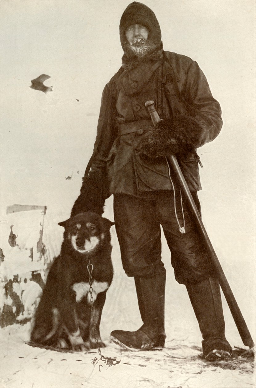 C. H. Meares ja Osman, The Leader of the Dogs, 28. elokuuta 1911, 1913 tekijältä Herbert Ponting