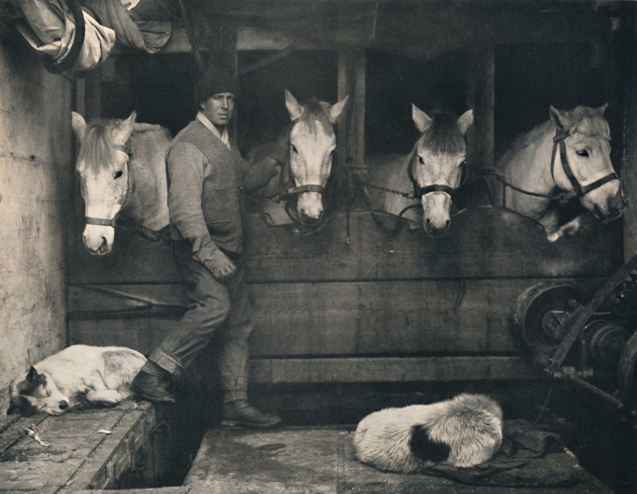 Kapteeni Oates, Terra Novalla siperianponien kanssa, 1911, 1914. tekijältä Herbert Ponting
