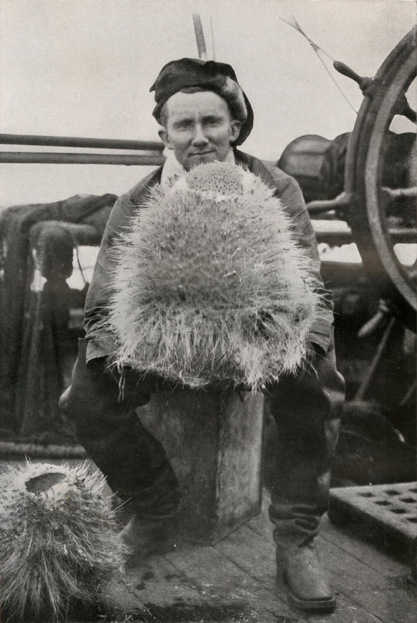 D. G. Lillie, joidenkin piipitoisten sienten kanssa, c1911, 1913 tekijältä Herbert Ponting