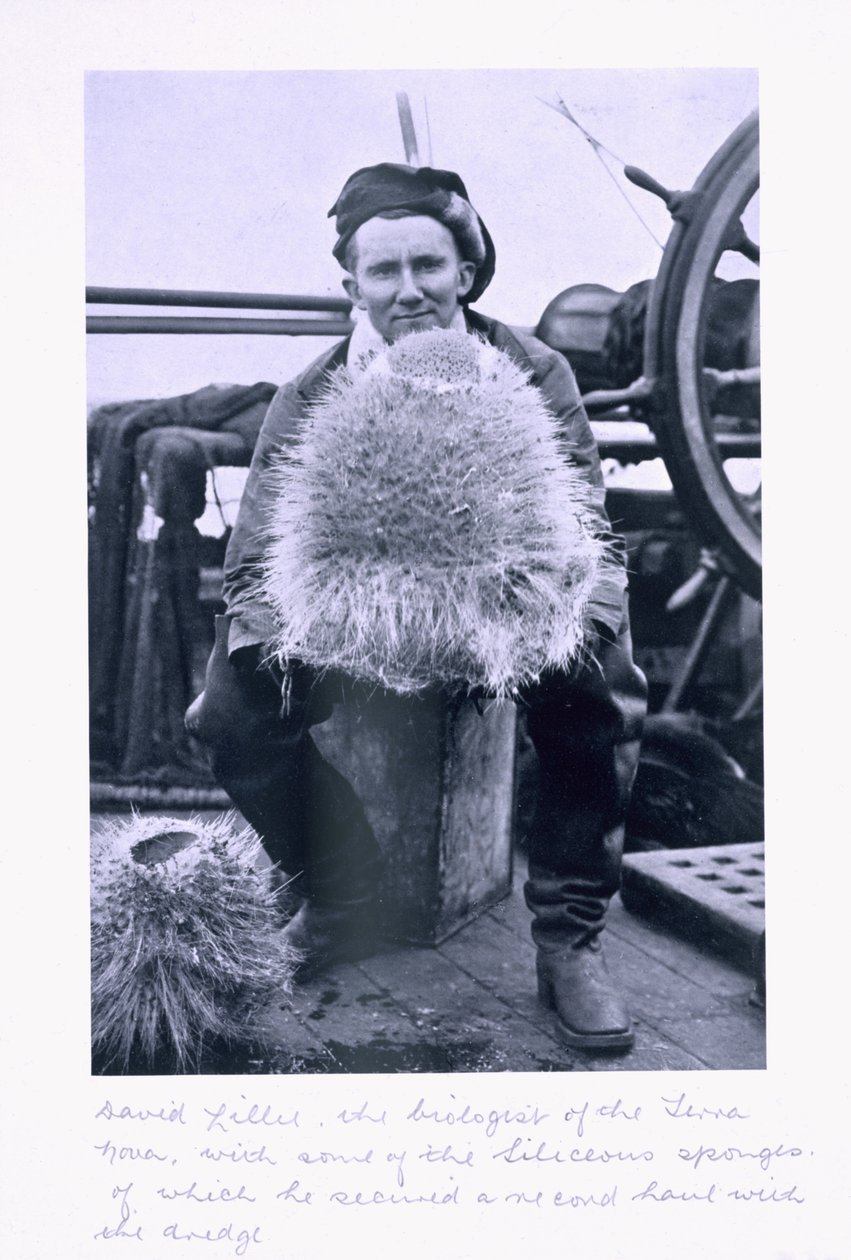 David Lille, Terra Novan biologi, ja joitakin Seliceous Sponges -sieniä Scottin viimeisestä tutkimusmatkasta. tekijältä Herbert Ponting