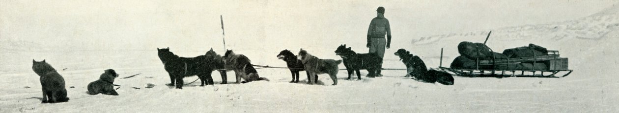 Koirat kauppoineen, jotka ovat lähdössä Hut Pointista, c1911, 1913 tekijältä Herbert Ponting