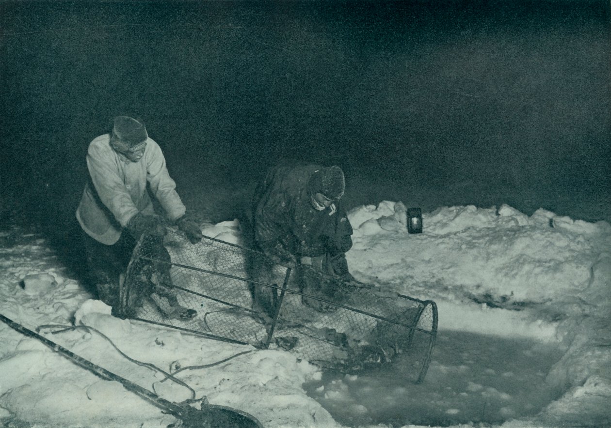 Dr. Atkinson ja Clissold nostamassa kalaansa, 28. toukokuuta 1911, 1913 tekijältä Herbert Ponting