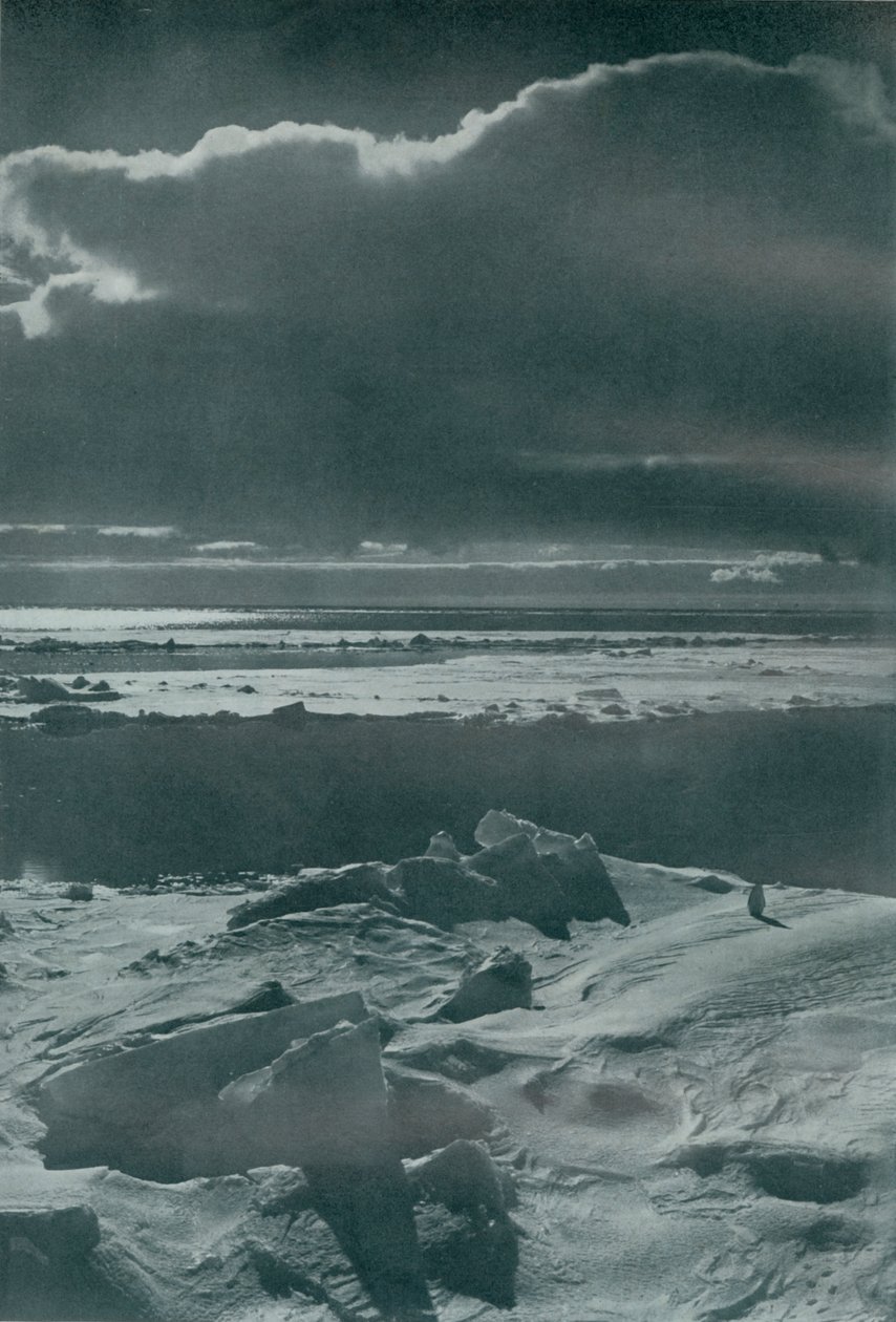 Iltakohtaus pakkauksessa, c19101913, 1913 tekijältä Herbert Ponting