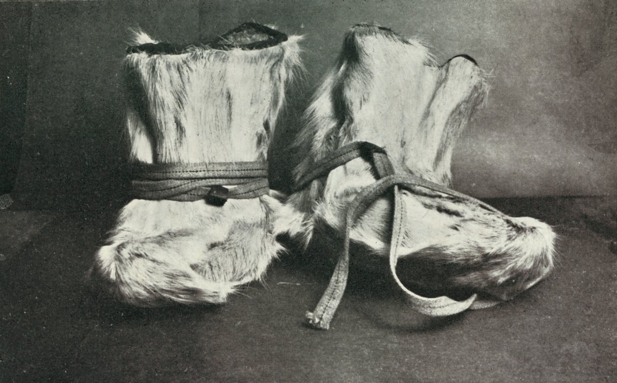 Finnesko, c19101913, 1913. tekijältä Herbert Ponting