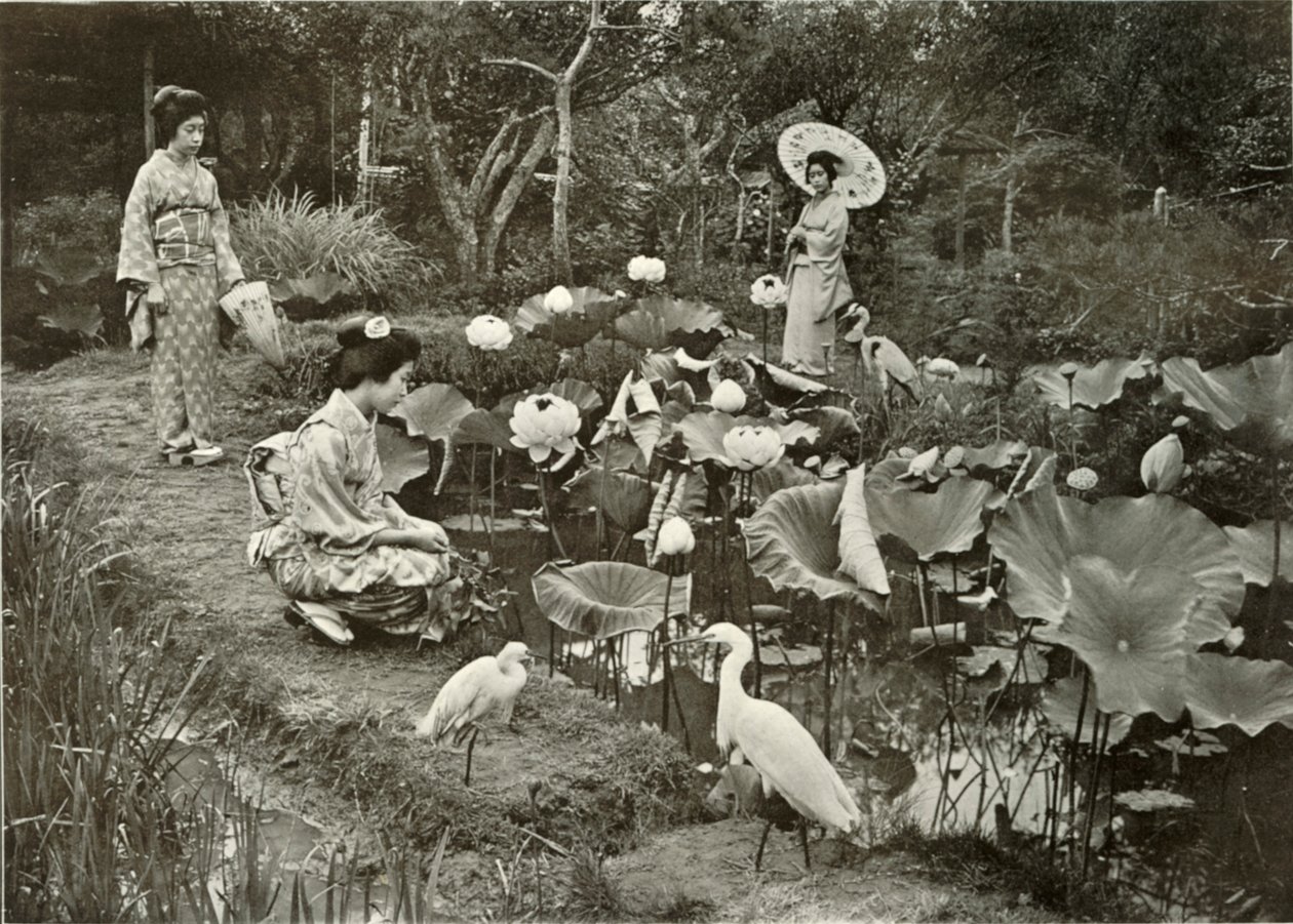Lotus-Landissa, 1910. tekijältä Herbert Ponting