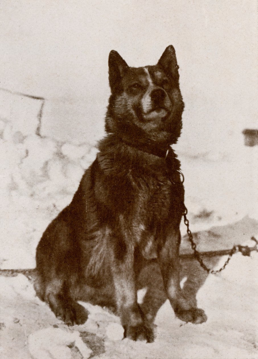 Krisravica, 19101913, 1913 tekijältä Herbert Ponting