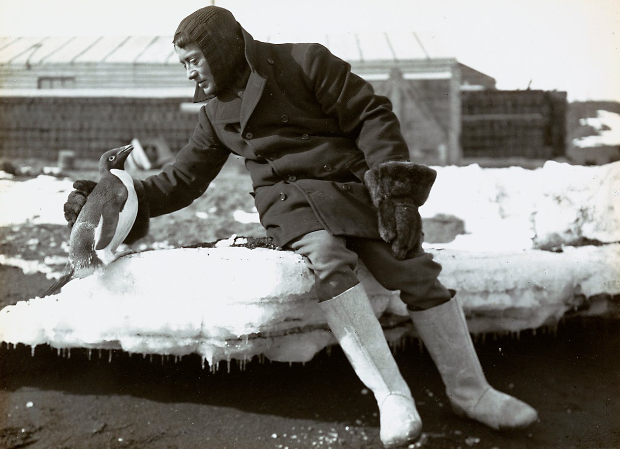 Mies pingviinin kanssa englantilaisen Etelämantereelle suuntautuneen retkikunnan aikana. tekijältä Herbert Ponting