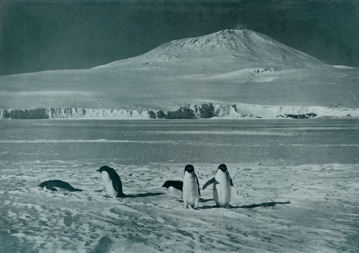 Mount Erebus, c1911, 1913 tekijältä Herbert Ponting