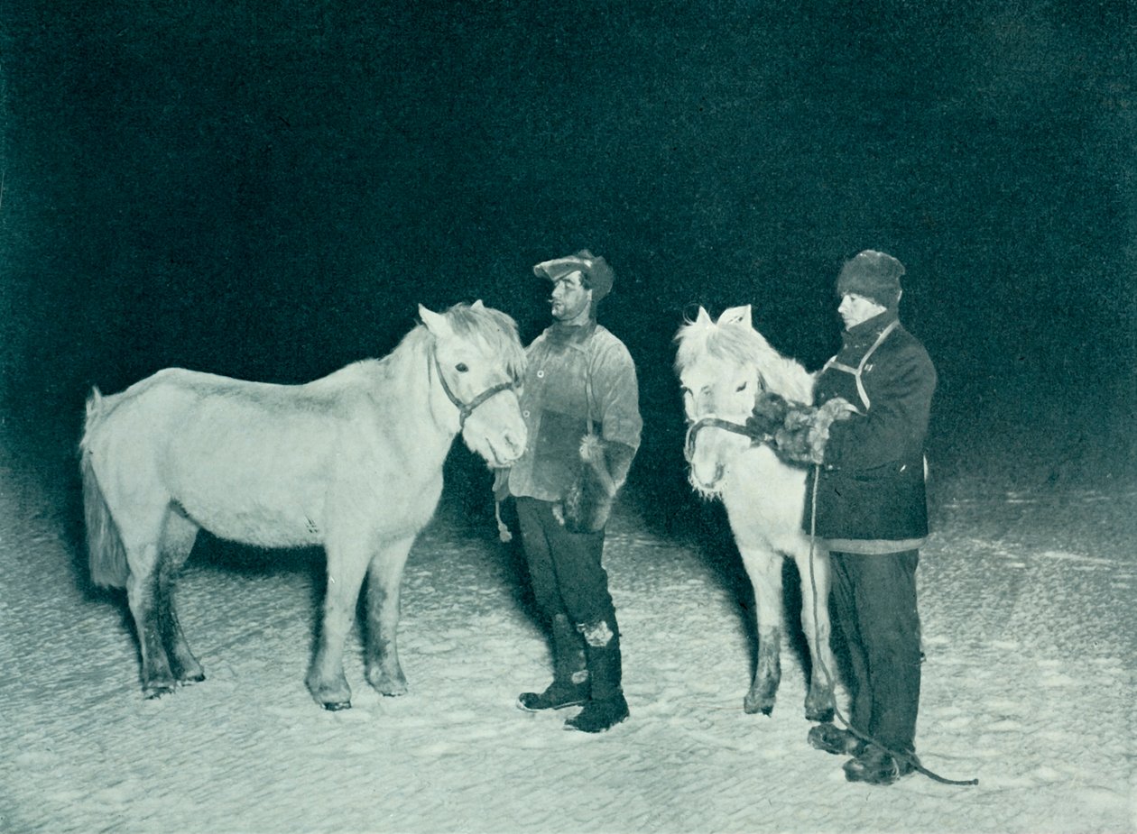 Upseerit Crean ja Evans harjoittelemassa ponejaan talvella, 1911, 1913 tekijältä Herbert Ponting