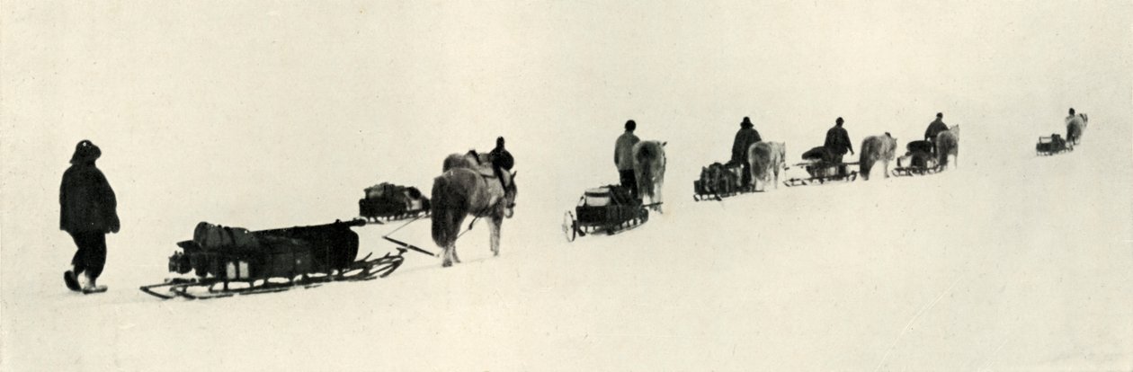 Ponit maaliskuussa 1911, 1913 tekijältä Herbert Ponting