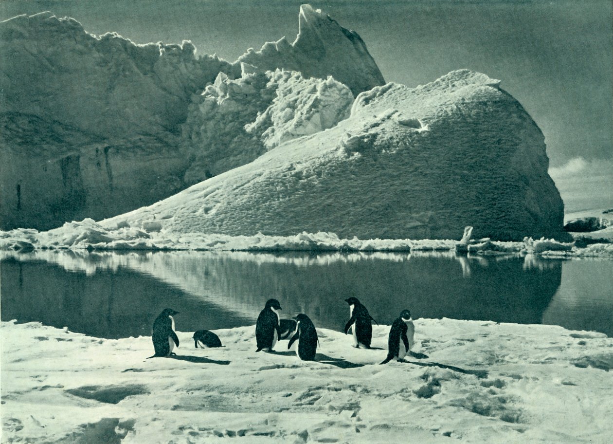 Kesäaika - Jään avautuminen, c19101913, 1913. tekijältä Herbert Ponting