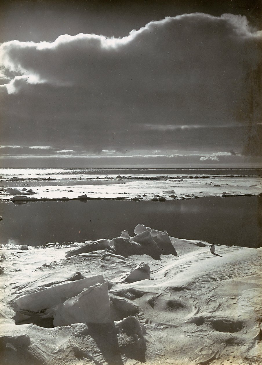 Auringonlasku laumassa tekijältä Herbert Ponting