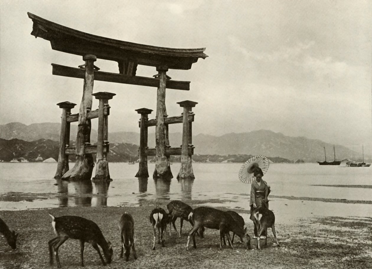 Vanha Torii Miyajimassa, 1910. tekijältä Herbert Ponting