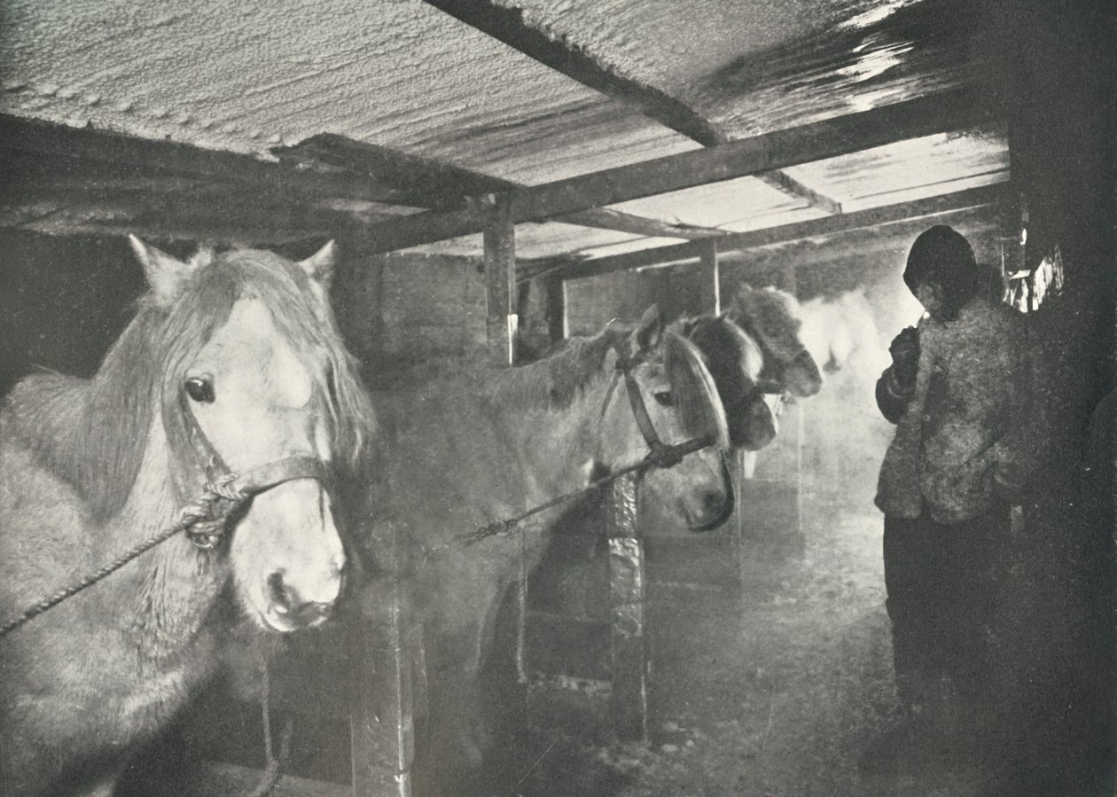 Tallit talvella, c19101911, 1913 tekijältä Herbert Ponting