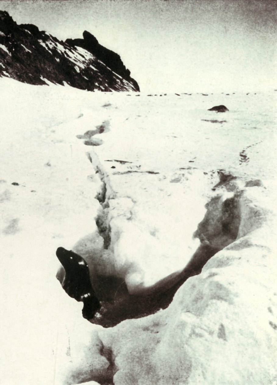 Tide-Crack Razorback Islandilla, 1911, 1913 tekijältä Herbert Ponting