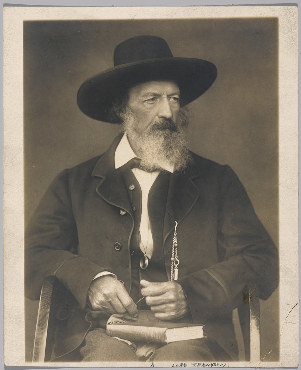 Lord Tennyson (gelatiinihopea kuva) tekijältä Herbert Rose Barraud