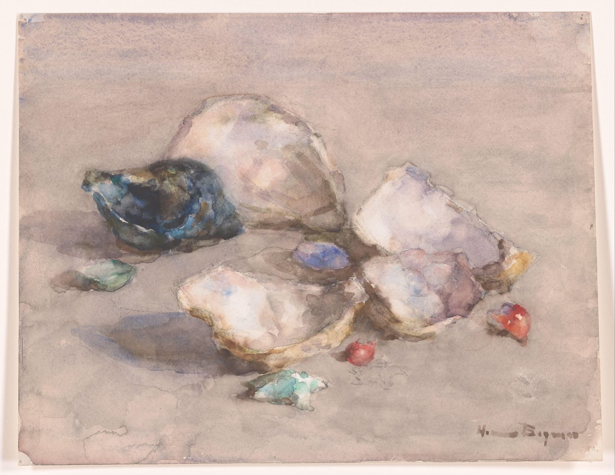 Simpukat rannalla tekijältä Herman Bogman (signed by artist)