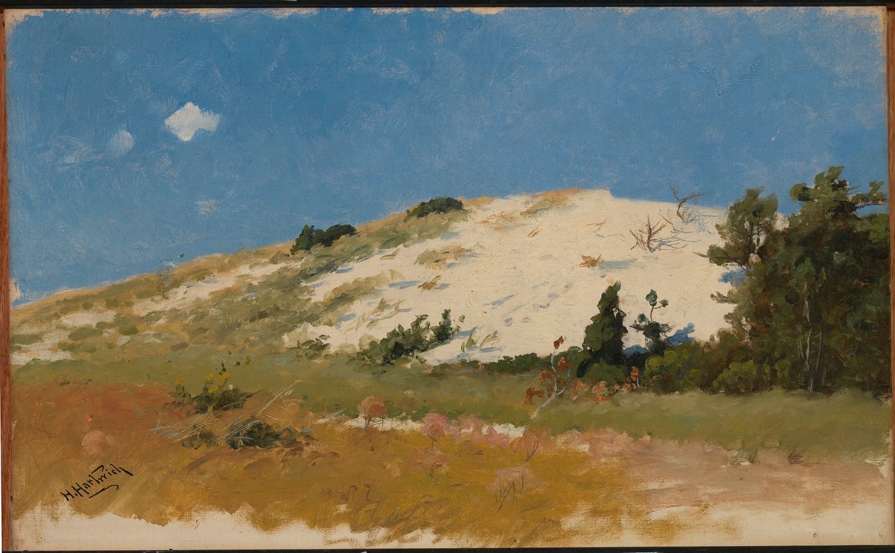 Cape Cod, hiekkadyynit tekijältä Herman Hartwich