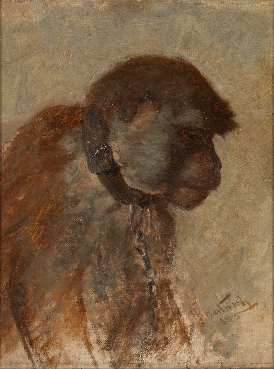 Meditaatio, 1885. tekijältä Herman Hartwich