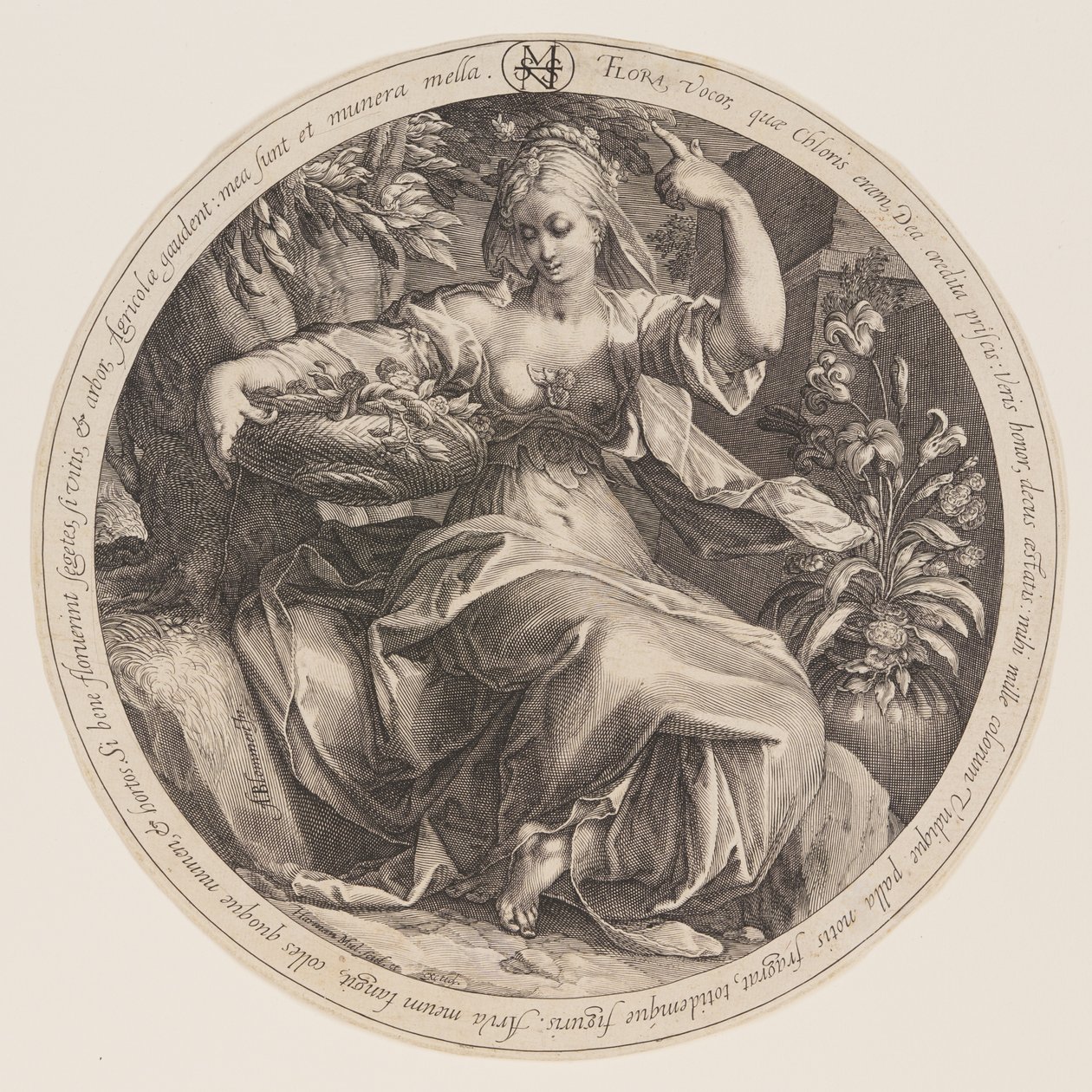 Flora tekijältä Herman Jansz. Muller