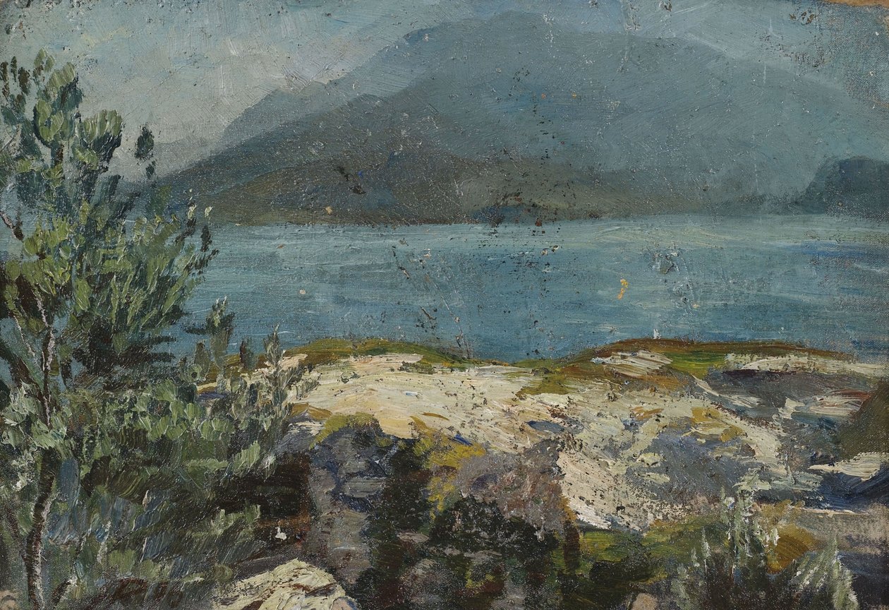 Sommerliches Seeufer tekijältä Hermann Pleuer