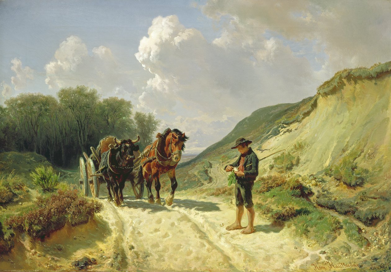 Kahden tyyppisiä valjaita, n. 1855 tekijältä Hermann Kauffmann